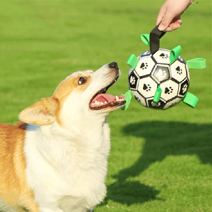  Soccer Dog™ - Ballon De Football Pour Chien