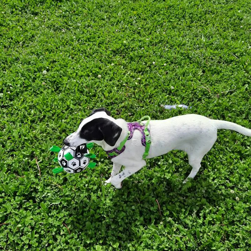 Soccer Dog™ - Ballon De Football Pour Chien