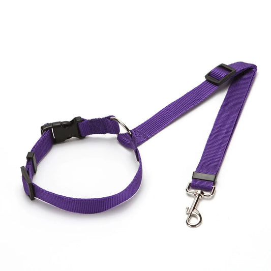 Duo - Collier Ceinture De Sécurité 2 en 1